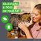 Show in main carousel: Frontline Plus Flea & Tick Spot Treatment for Cats, over 1.5 lbs, 6 Doses (6-mos. supply) slide 2 of 11