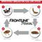 Show in main carousel: Frontline Plus Flea & Tick Spot Treatment for Extra Large Dogs, 89-132 lbs, 12 Doses (12-mos. supply) slide 2 of 10