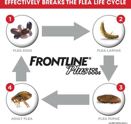 Show full view: Frontline Plus Flea & Tick Spot Treatment for Extra Large Dogs, 89-132 lbs, 12 Doses (12-mos. supply) slide 2 of 10