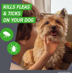 Frontline Plus Flea & Tick Spot Treatment for Extra Large Dogs, 89-132 lbs, 3 Doses (3-mos. supply) slide 2 of 9