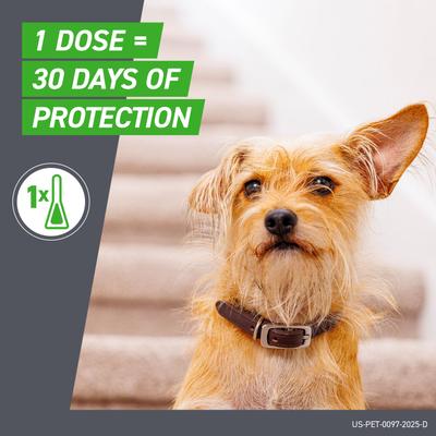 Show full view: Frontline Plus Flea & Tick Spot Treatment for Extra Large Dogs, 89-132 lbs, 6 Doses (6-mos. supply) slide 5 of 12