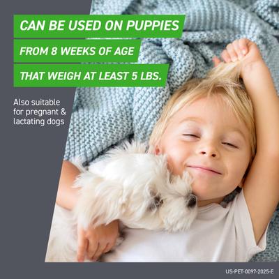 Show full view: Frontline Plus Flea & Tick Spot Treatment for Extra Large Dogs, 89-132 lbs, 6 Doses (6-mos. supply) slide 6 of 12