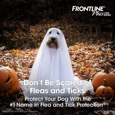 Show full view: Frontline Plus Flea & Tick Spot Treatment for Large Dogs, 45-88 lbs, 12 Doses (12-mos. supply) slide 2 of 11