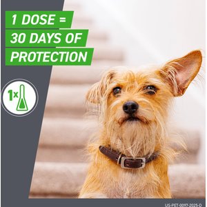 Frontline Plus Flea & Tick Spot Treatment for Large Dogs, 45-88 lbs, 6 Doses (6-mos. supply)
