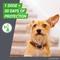 Show in main carousel: Frontline Plus Flea & Tick Spot Treatment for Large Dogs, 45-88 lbs, 6 Doses (6-mos. supply) slide 5 of 12