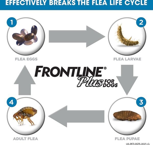 Frontline Plus Flea & Tick Spot Treatment for Medium Dogs, 23-44 lbs