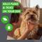 Show in main carousel: Frontline Plus Flea & Tick Spot Treatment for Small Dogs, 5-22 lbs, 6 Doses (6-mos. supply) slide 2 of 12
