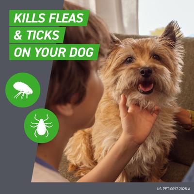 Show full view: Frontline Plus Flea & Tick Spot Treatment for Small Dogs, 5-22 lbs, 6 Doses (6-mos. supply) slide 2 of 12