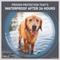 Show in main carousel: Frontline Shield Flea & Tick Treatment for Small Dogs, 11 - 20 lbs, 12 Doses (12-mos. supply) slide 7 of 11