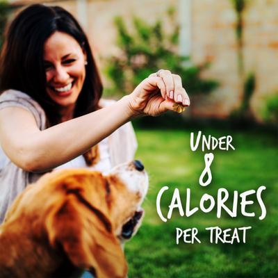 Show full view: Fruitables Crispy Bacon & Apple Flavor Dog Treats, 12-oz bag slide 7 of 13