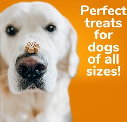 Fruitables Pumpkin & Cranberry Flavor Crunchy Dog Treats, 7-oz bag slide 2 of 8