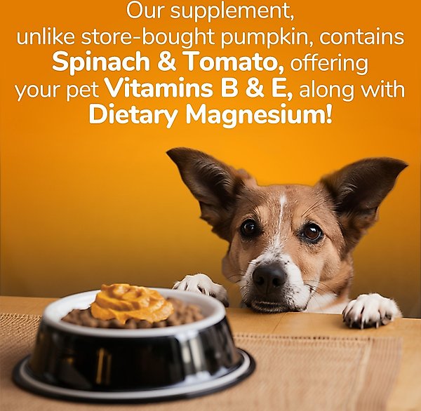 Show full view: Fruitables Pumpkin SuperBlend Digestive Dog & Cat Supplement, 15-oz, case of 12 slide 3 of 11