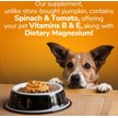 Show in main carousel: Fruitables Pumpkin SuperBlend Digestive Dog & Cat Supplement, 15-oz, case of 12 slide 3 of 11