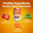 Show in main carousel: Fruitables Pumpkin SuperBlend Digestive Dog & Cat Supplement, 15-oz, case of 12 slide 4 of 11