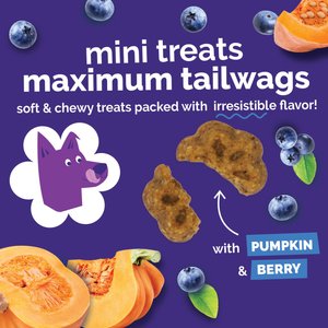 Fruitables Skinny Minis Pumpkin & Berry Flavor Dog Treats, 5-oz bag