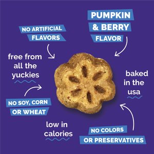 Fruitables Skinny Minis Pumpkin & Berry Flavor Dog Treats, 5-oz bag