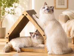 FUKUMARU 16-in Microfiber Carboard Cat Scratching Post, Little Brown