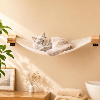 dịch vụ giữ mèo qua đêm