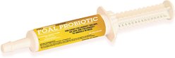 FullBucket Health Equine Foal Probiotic Paste Horse Supplement, .10-oz tube