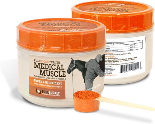 Show full view: FullBucket Health Equine Medical Muscle Performance Horse Supplement, 450-g bag slide 1 of 1