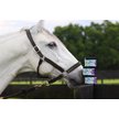 Show in main carousel: Funky Unicorn Banana Electrolyte Cubes Horse Supplement, 21-oz pouch slide 8 of 8