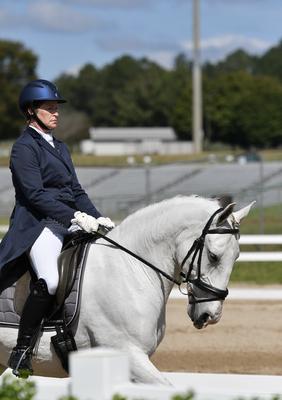 Show full view: Funky Unicorn Electrolyte Cubes Tripack Minis Horse Supplement, 30 count slide 6 of 9