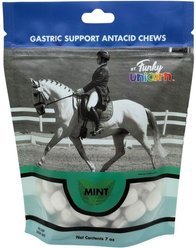 Funky Unicorn Gastric Support Antacid Mint Chew Horse Supplement, 7-oz pouch slide 1 of 4