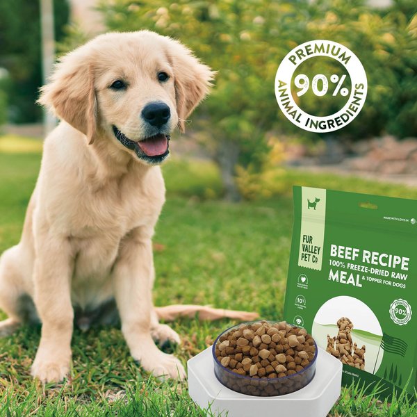 Girdle C-Section Recovery Belt Back Support Only Natural Pet