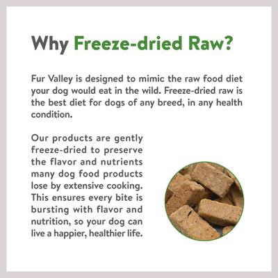 Show full view: Fur Valley Beef Liver Freeze-Dried Dog & Cat Treats, 12-oz jar slide 6 of 7