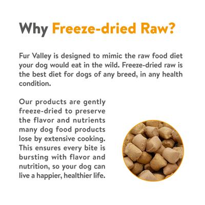 Show full view: Fur Valley Chicken Bites Grain-Free Freeze-Dried Dog Treats, 3-oz bag slide 6 of 8