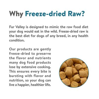 Show full view: Fur Valley Salmon Bites Grain-Free Freeze-Dried Dog Treats, 2-oz bag slide 6 of 7