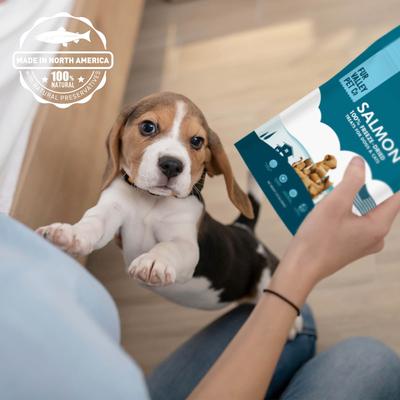 Show full view: Fur Valley Salmon Bites Grain-Free Freeze-Dried Dog Treats, 2-oz bag slide 7 of 7