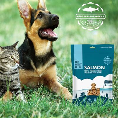 Show full view: Fur Valley Salmon Freeze-Dried Dog & Cat Treats, 12-oz bag slide 7 of 8