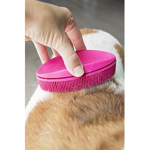 FURemover Pet Hair Removal & Lint Brush, Color Varies