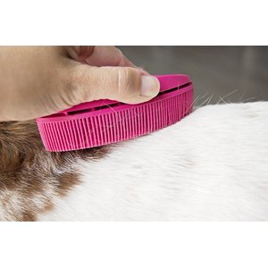FURemover Pet Hair Removal & Lint Brush, Color Varies
