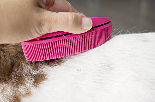 Show full view: FURemover Pet Hair Removal & Lint Brush, Color Varies slide 6 of 11