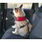 Show in main carousel: FurHaven Car Dog Seat Belt & Clip, 2 count, Black slide 4 of 6