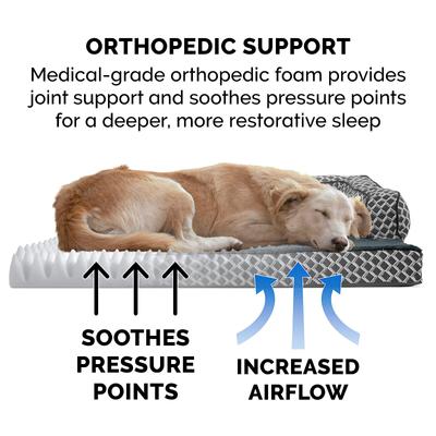 FurHaven Comfy Couch Orthopedic Bolster Dog Bed with Removable Cover