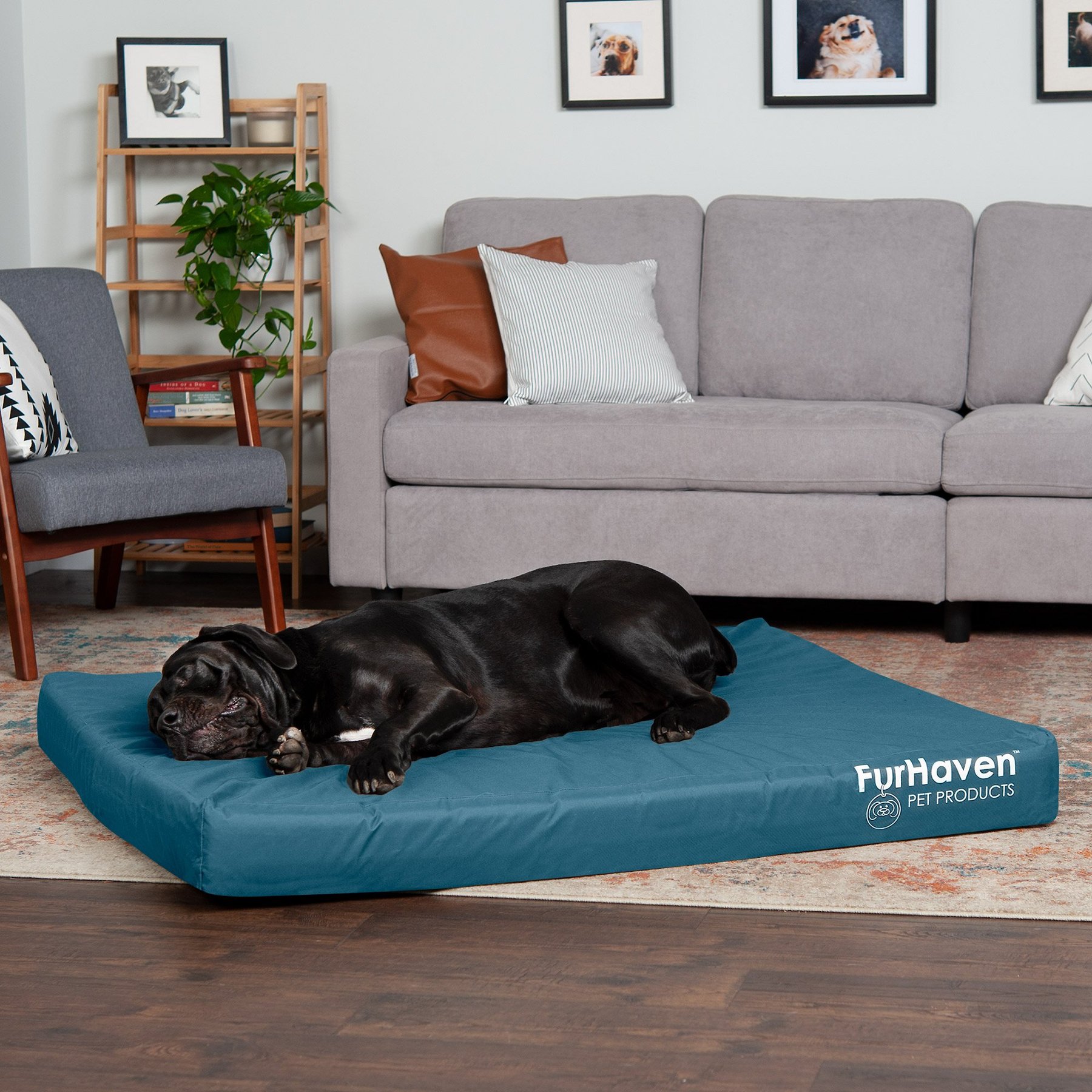 FurHaven Deluxe Oxford Full Support Dog & Cat Bed with Removable Cover, Deep Lagoon, Jumbo Plus