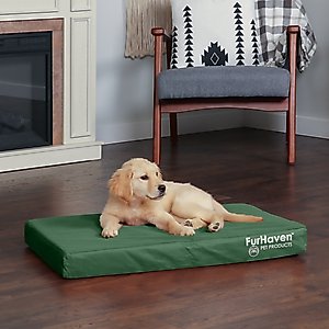 FurHaven Deluxe Oxford Full Support Dog & Cat Bed with Removable Cover, forest, Medium