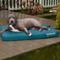 Show in main carousel: FurHaven Deluxe Oxford Memory Foam Indoor/Outdoor Dog & Cat Bed with Removable Cover, Large, Deep Lagoon slide 1 of 10
