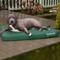 Show in main carousel: FurHaven Deluxe Oxford Memory Foam Indoor/Outdoor Dog & Cat Bed with Removable Cover, Large, forest slide 1 of 10