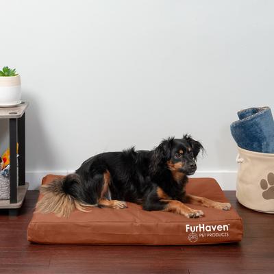 Show full view: FurHaven Deluxe Oxford Memory Foam Indoor/Outdoor Dog & Cat Bed with Removable Cover, Medium Chestnut slide 1 of 10