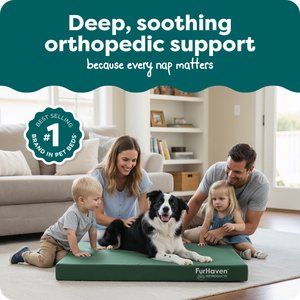FurHaven Deluxe Oxford Orthopedic Indoor/Outdoor Dog & Cat Bed with Removable Cover, Large, Chestnut