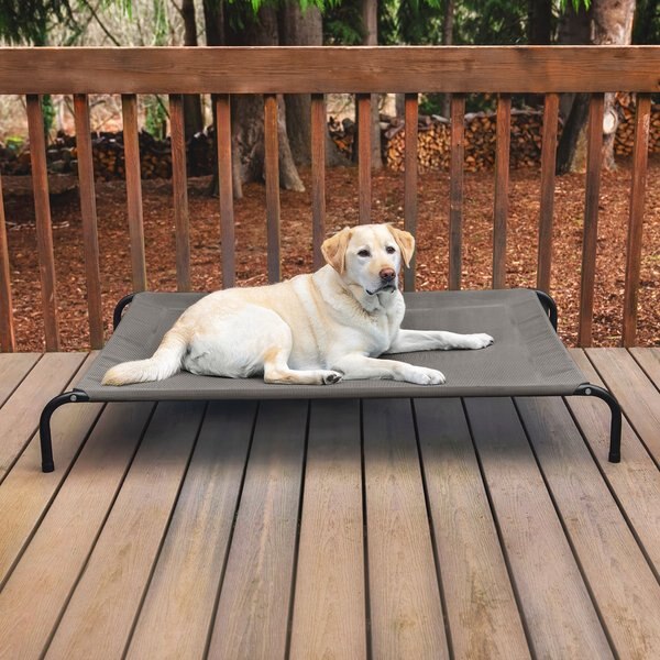 FurHaven Elevated Dog & Cat Bed
