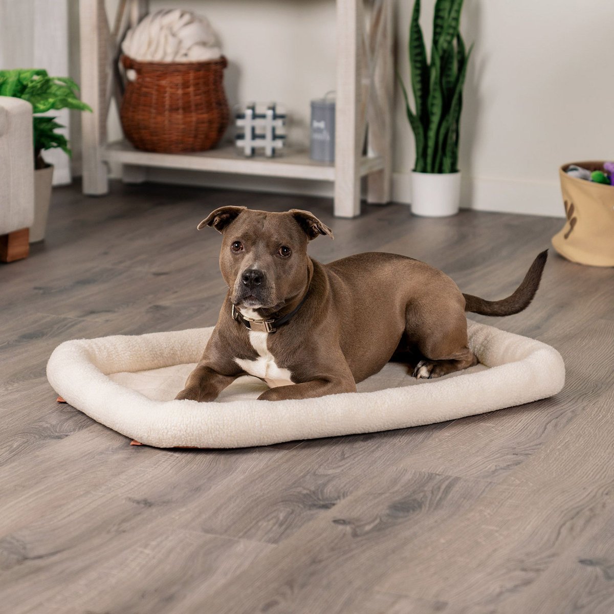 FurHaven Faux Wool Crate Bolster Cat & Dog Bed, Cream, Large