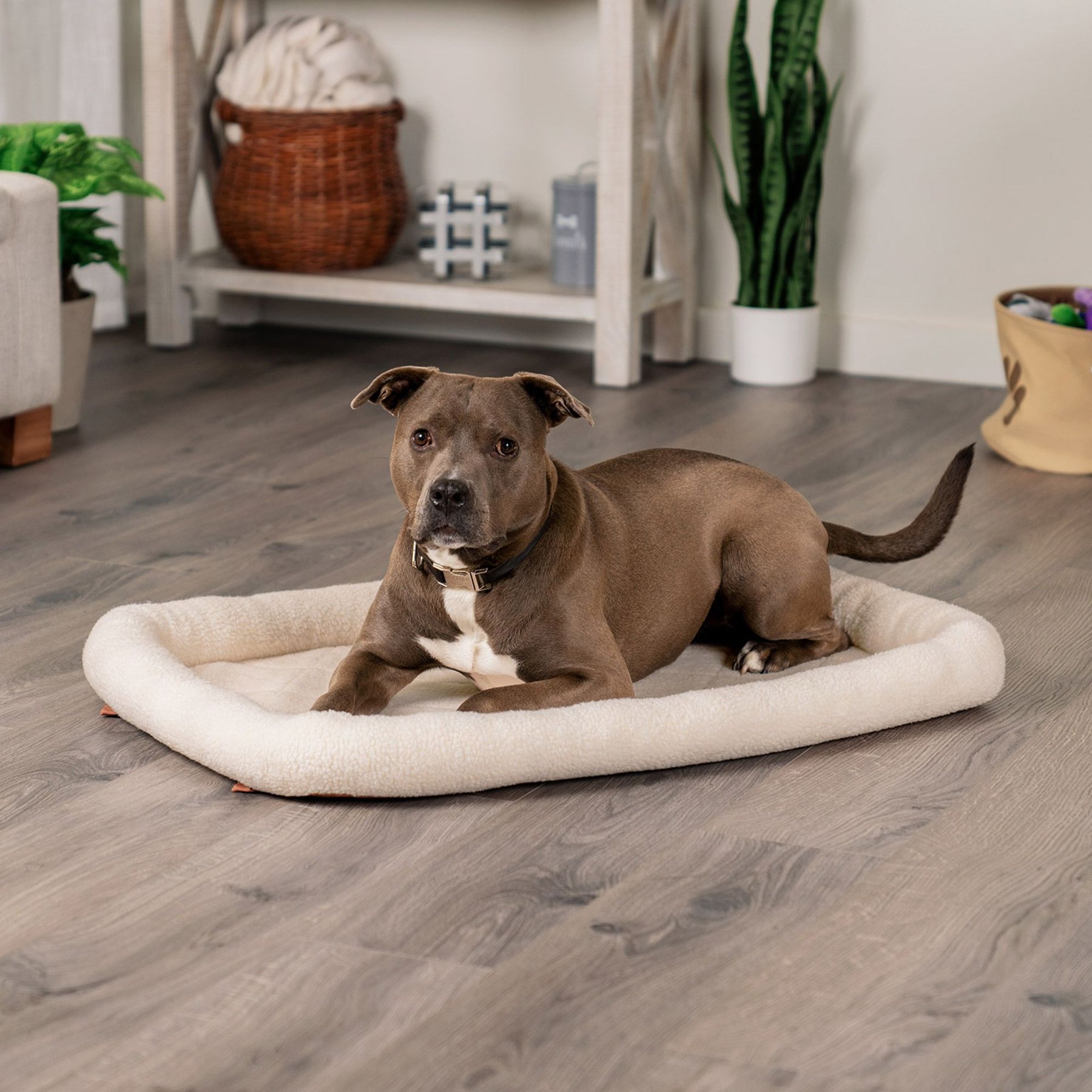FurHaven Faux Wool Crate Bolster Cat & Dog Bed, Cream, Large