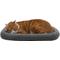 Show in main carousel: FurHaven Faux Wool Crate Bolster Cat & Dog Bed, Gray, X-Small slide 4 of 10