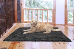FurHaven Muddy Paws Towel & Shammy Dog Mat, Gray, Jumbo Plus