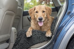 FurHaven Muddy Paws Towel & Shammy Dog Mat, Gray, Runner